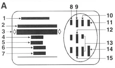 Description d'une plaque constructeur de Renault Twingo 1, après 1997.