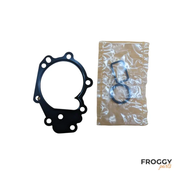 shop_pae d4f graf_3 Accessoires de pompe à eau pour moteur D4F.